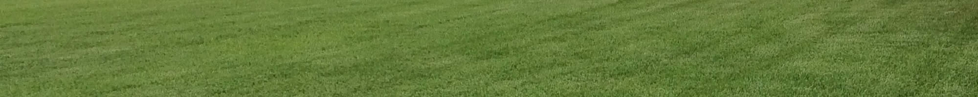 Local Landscaping Services Florida