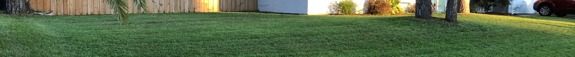 Local Landscaping Services Florida