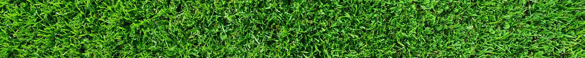 Local Landscaping Services Florida