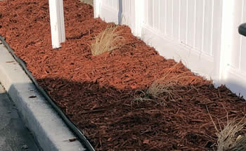 Mulch Installation Services in Palm Bay, West Melborne, Melborne, Indialantic, and Melborne Beach, Florida