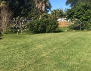 lawn-mowing-services