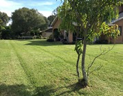 Lawn care service