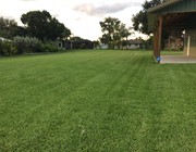 Lawn maintenance