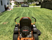 lawn service