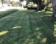 Lockmar estates lawn Service