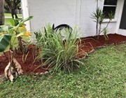 Weed Control