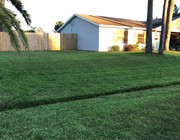 Windover farms Lawn care